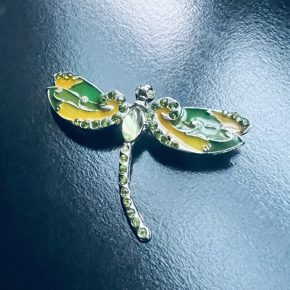 N/A dragonfly brooch